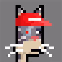 Zoo Pal #3553