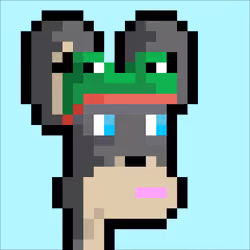 Zoo Pal #559