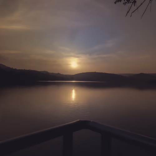 Quiet Light #417