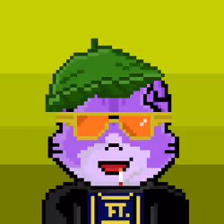 Catmorra Based