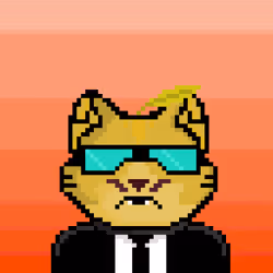 Catmorra Based