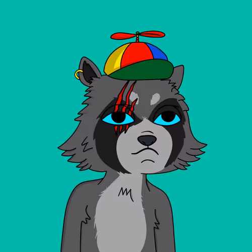 Gutter Raccoon Gang