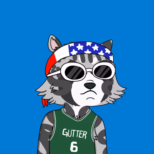 Gutter Raccoon Gang