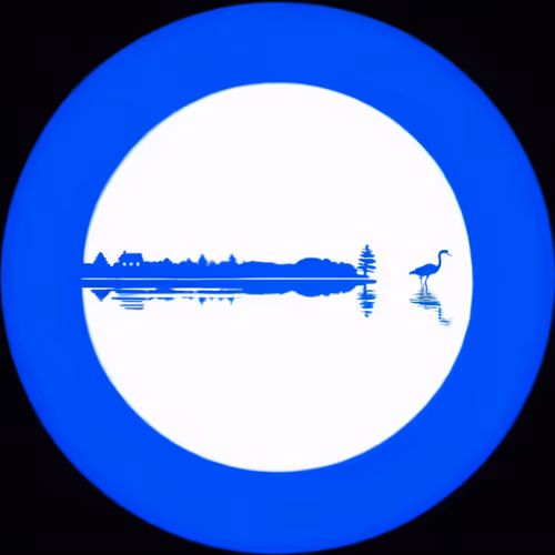 THE Ciconiidae