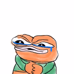 Pepe Journey #898