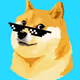 Doge