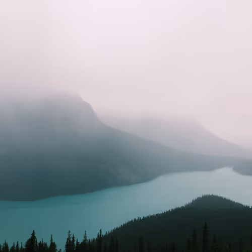 Pretty Peyto