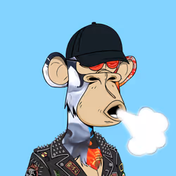 6250