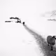 Life on Snow