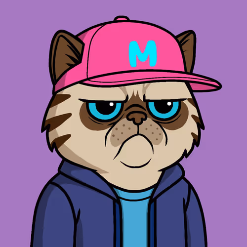 Mister M