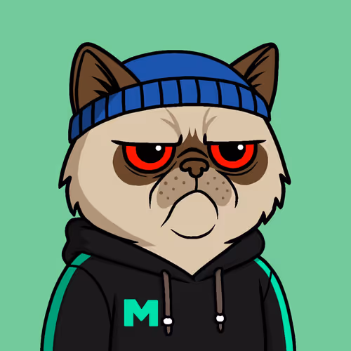 Mister M