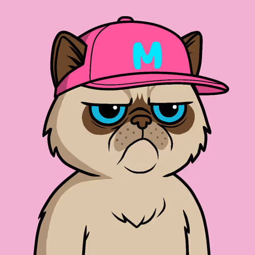 Mister M