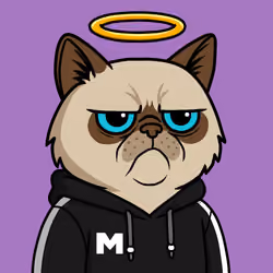 Mister M #1242