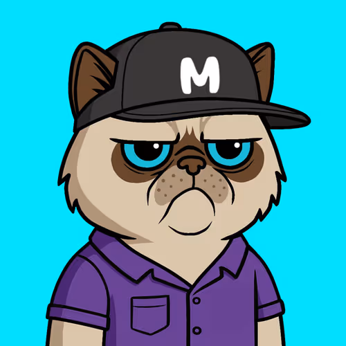 Mister M