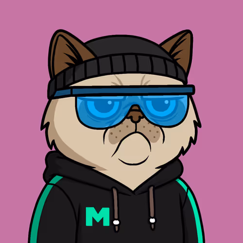 Mister M