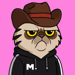 Mister M #1812