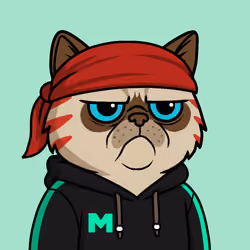 Mister M #1795