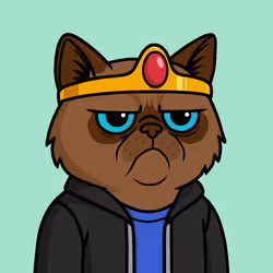 Mister M #1293
