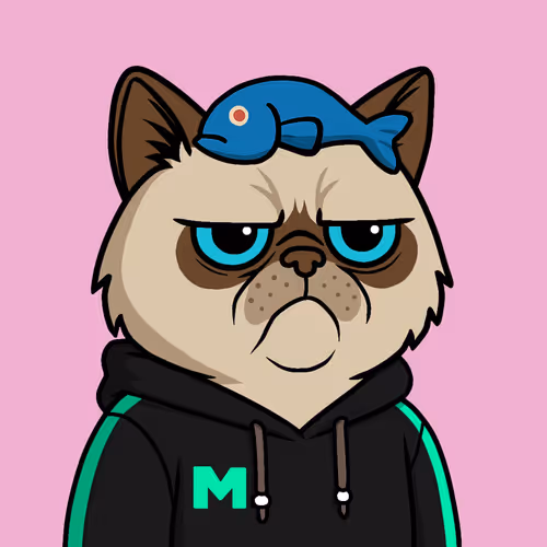 Mister M