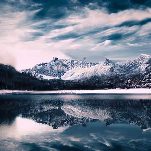 Ice land
