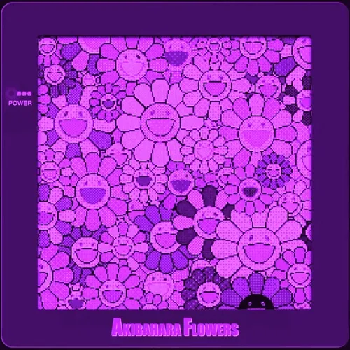 Akibahara Fiowers Seed Limited Edition