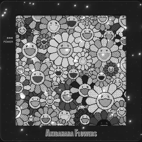 Akibahara Fiowers Seed Limited Edition