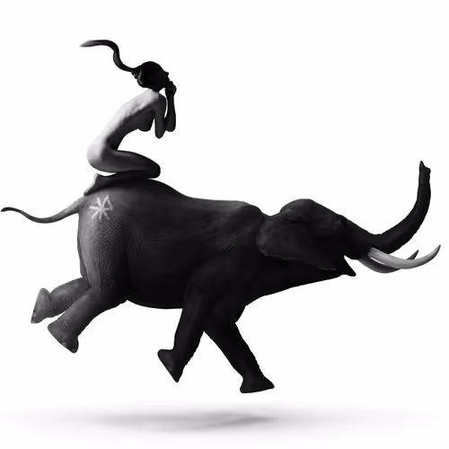 Rodeo Posts 6761