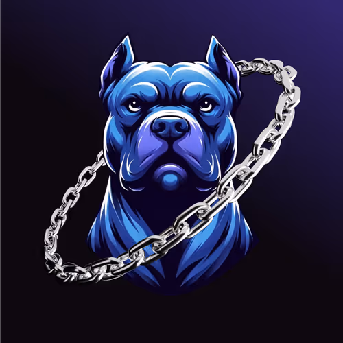 $onchain X Doginme Special Edition
