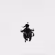 Rodeo posts