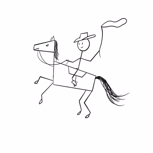 Rodeo posts