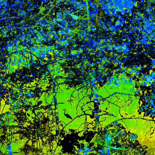 Abstraction Frame