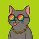 NCC 🕶️