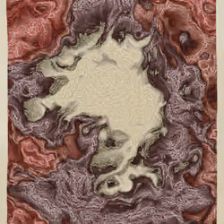 Primordial564