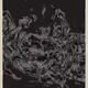 Primordial