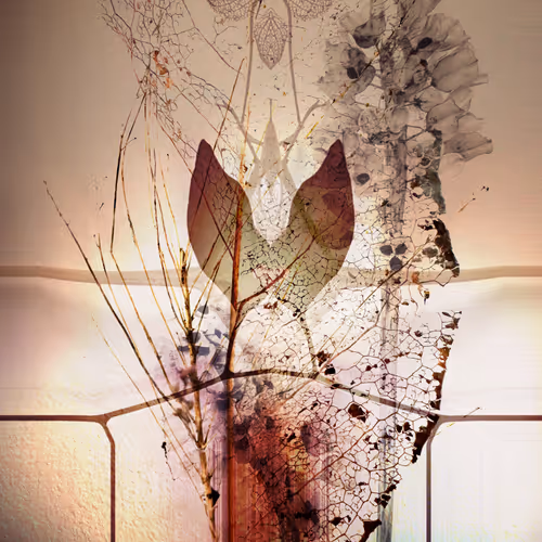 Bones Of Old