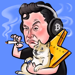 ELONMASK