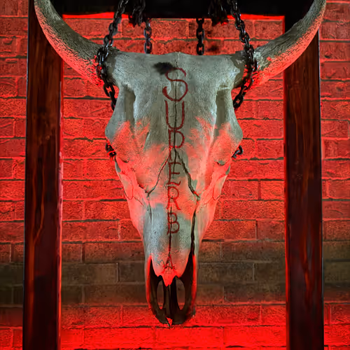 Rodeo Posts 7435