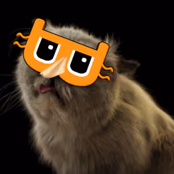 Definitely Not Miggles #11