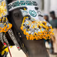 Durbar Festival: Men and Horses