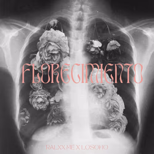 0xdc982a00f0e27dee842dadfa4f117491998946b3