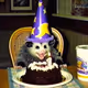 23