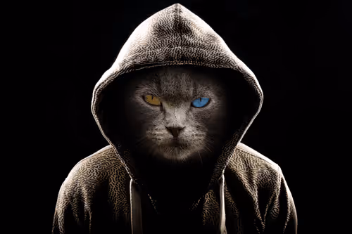 Brutal cat