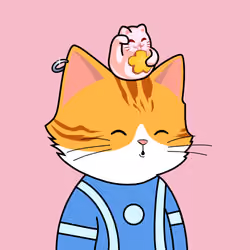 Base Meow #264