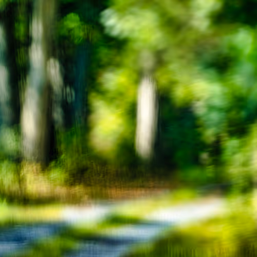 Blurred Road
