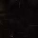 Synopsis Signal