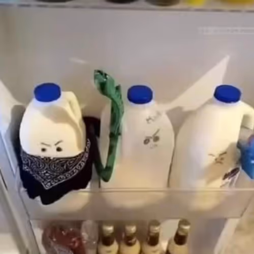 Spoiled milk