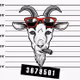 goat criminal