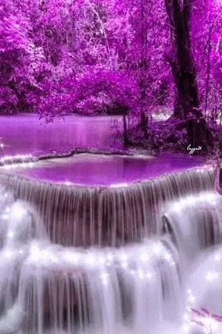 Mystical Forest 6