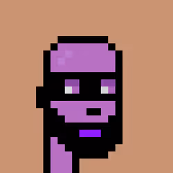 FID Punk #305316