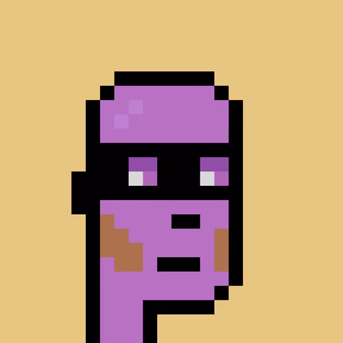 FID Punk #504127